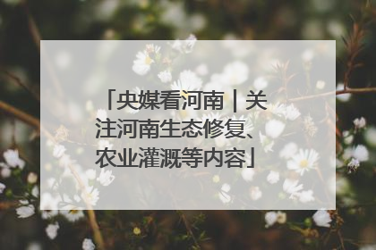 央媒看河南｜关注河南生态修复、农业灌溉等内容